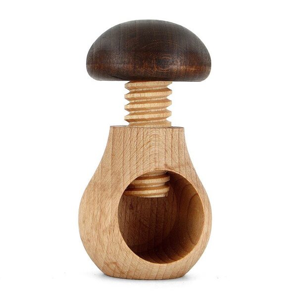 Koka sēne riekstu skaldītājs